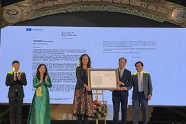 Hoi An: miembro de Red de Ciudades Creativas de la UNESCO