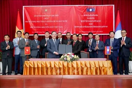 Asociación de Campesinos de Vietnam dispuesta a compartir experiencias con Laos