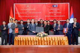 Asociación de Campesinos de Vietnam dispuesta a compartir experiencias con Laos