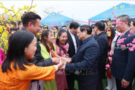 Premier vietnamita pide esfuerzos para que todos tengan un Tet feliz