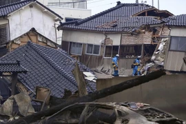 No se registran víctimas vietnamitas en Japón debido a sismo 