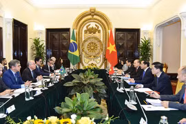 Consolidan la asociación integral entre Vietnam y Brasil