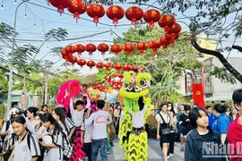  Celebran en provincia vietnamita Festival de Primavera 2024