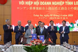 Empresas de Okayama desean ampliar sus actividades comerciales en provincia vietnamita