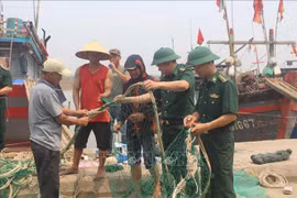 Provincia vietnamita intensifica lucha contra pesca ilegal