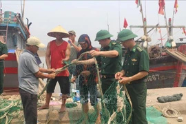 Provincia vietnamita intensifica lucha contra pesca ilegal