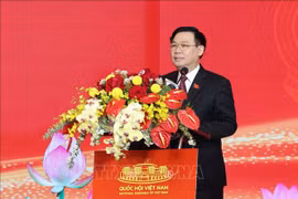 Resaltan desempeño de consejos populares locales de Vietnam 