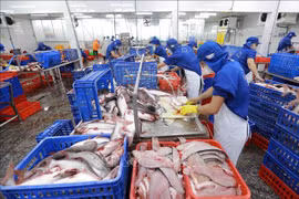 Vietnam y Nueva Zelanda disponen de gran potencial en cooperación comercial