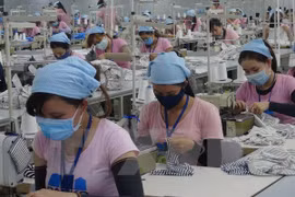 Grandes expectativas de empresas de Vietnam para 2017