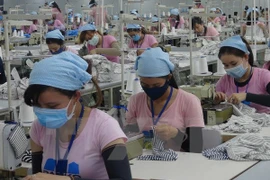 Grandes expectativas de empresas de Vietnam para 2017
