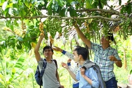 UNESCO recomienda a ciudad vietnamita desarrollar turismo comunitario 