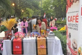 Países de ASEAN promueven intercambio cultural en México