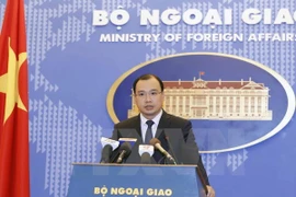 Vietnam se opone a todas las actividades que violan su soberanía en el Mar del Este
