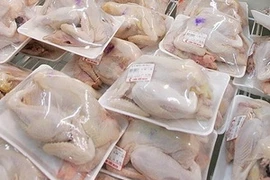 Vietnam exportará pechugas de pollo por primera vez al extranjero