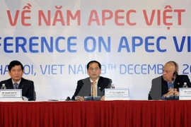 Año APEC 2017, foco de actividades externas de Vietnam 
