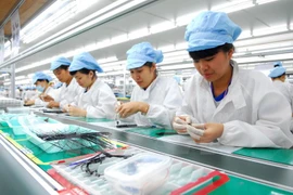 Vietnam busca desarrollar recursos humanos en integración internacional