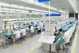 Programa del envío de trabajadores vietnamitas a Sudcorea obtiene buenos resultados