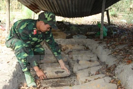 Aumentan cooperación internacional en apoyo a víctimas de bombas en Vietnam