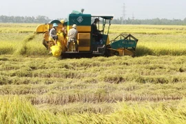 Firman en Vietnam acuerdo de desarrollo de agricultura limpia y estable
