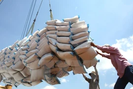 Laos incrementa exportaciones de arroz a China