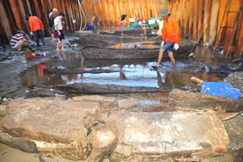 Vietnam y desafíos en preservación de antigüedades en el mar 