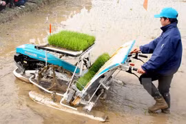 JICA asiste a desarrollo rural en provincia de Vietnam