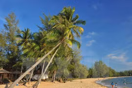 Cierre del Año Nacional de Turismo Phu Quoc 2016