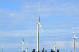 Vietnam supone otras medidas para garantizar seguridad energética