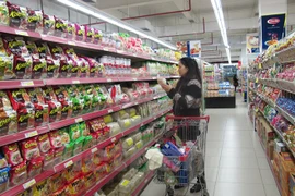 Rusia, mercado potencial de productos de Vietnam 