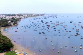 Promueven en Vietnam acciones de protección medioambiental marina
