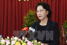 Presidenta del Parlamento de Vietnam se reúne con votantes de ciudad deltaica