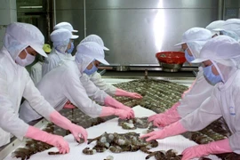 Vietnam supera dificultades para aumentar exportaciones de productos acuícolas