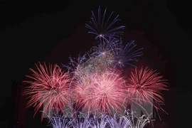 Vietnam acogerá Festival internacional de fuegos artificiales 2017