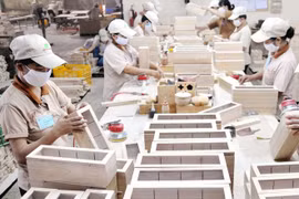 Ayudan a empresas madereras de Vietnam a expandir negocio en UE