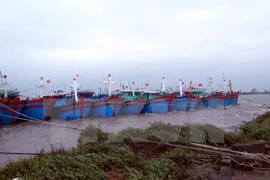 Nuevos fondos en ayuda a pescadores de Vietnam