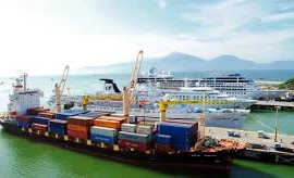 Puerto de Da Nang se convertirá en centro logístico de región central