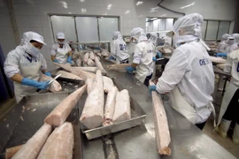 Sector manufacturero de Vietnam reporta mayor crecimiento en últimos 18 meses