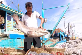 Aumenta exportación agrícola de Vietnam en 2016