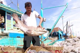 Aumenta exportación agrícola de Vietnam en 2016