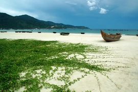 Ciudad central de Da Nang construirá nuevo dique 