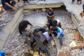 No reporta ninguna víctima vietnamita en sismo en Indonesia 