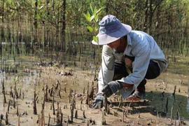 Vietnam adopta medidas para la protección del medio ambiente 