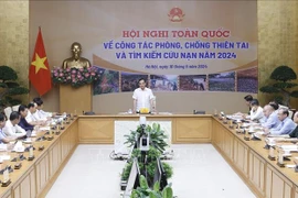 El viceprimer ministro de Vietnam Tran Luu Quang preside la reunión. (Fuente: VNA)