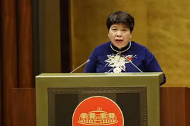 La jefa de la Comisión de Asuntos Sociales de la Asamblea Nacional de Vietnam, Nguyen Thuy Anh. (Fuente: VNA)