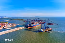 Actividades de importación y exportación en el puerto de aguas profundas de Gemalink. (Foto: VNA)