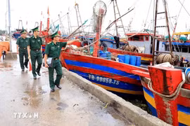 La fuerza fronteriza realiza inspección en el puerto pesquero de Tan Son, distrito de Thai Thuy, provincia de Thai Binh. (Fuente: VNA)