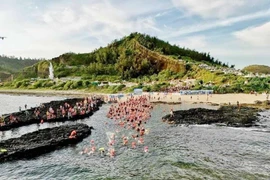 Los participantes nadan desde la isla Lon (grande) a la Be (pequeña). (Fuente: VNA)