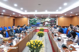 FMI: Perspectivas fiscales de Vietnam son relativamente estables