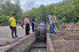 Los turistas visitan y experimentan la captura de camarones y peces en el sitio de turismo comunitario de Tran Van Huong (aldea de Con Mui, comuna de Dat Mui, distrito de Ngoc Hien, Ca Mau). (Foto: VNA)