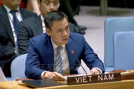 El embajador Dang Hoang Giang, jefe de la misión vietnamita ante las Naciones Unidas. (Fuente: VNA)